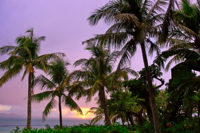 okinawa-image